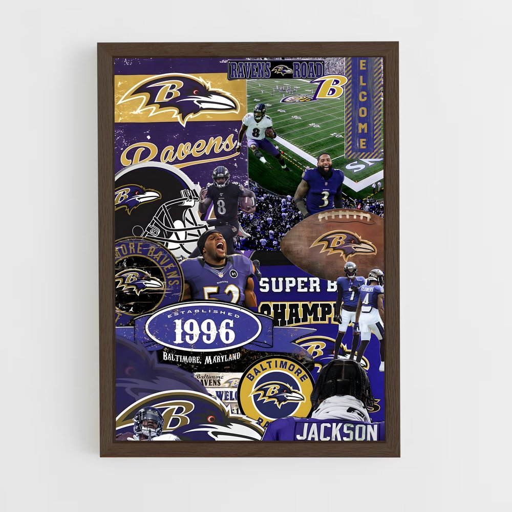 Poster Ravens Nation (vue 5)